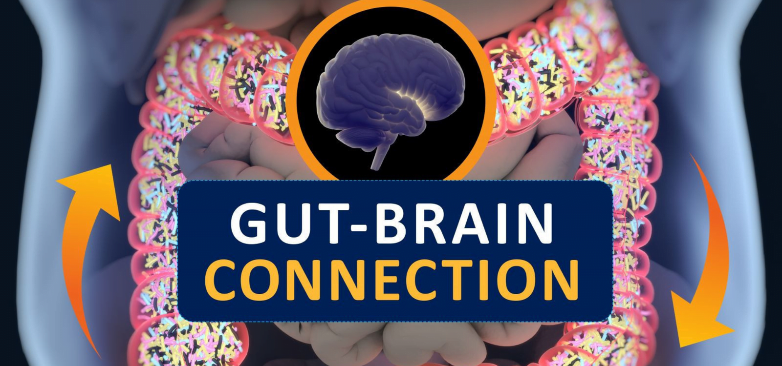 Growing science of the gut-brain axis: Healthy gut “essential to whole-body health”